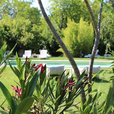 Saumane-de-Vaucluse L'Islo Bamboo 아파트 외부 사진
