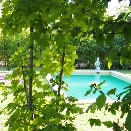 Saumane-de-Vaucluse L'Islo Bamboo 아파트 외부 사진